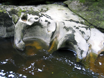 Erosions in the rock caused by the Strid