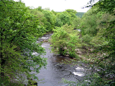View from the path of the River Wharfe