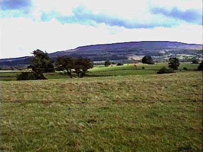 View across to West Witton Moor
