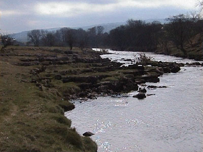 View along the banks of the River Wharfe