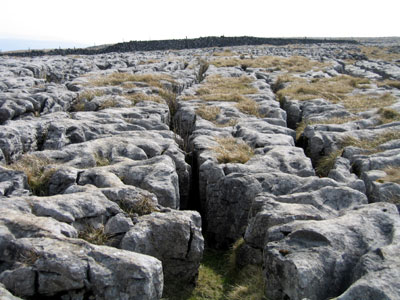 The clints and grikes of the limestone pavement