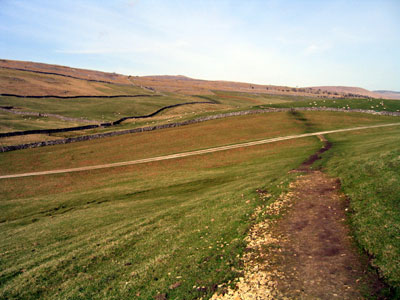 Path across the farm track leading to the wall
