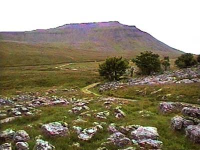 Limestone pavement to the left of the path, with Ingleborough ahead