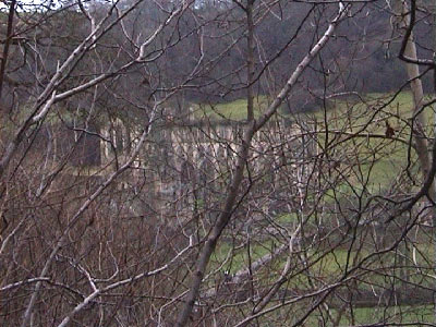 Rievaulx Abbey just visible through the trees