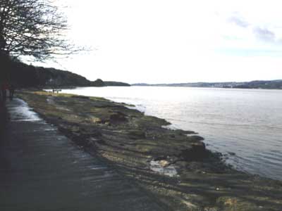 Path along the estuary