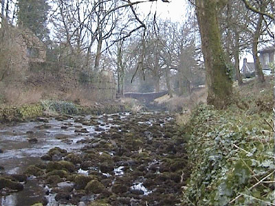 Clapham Beck