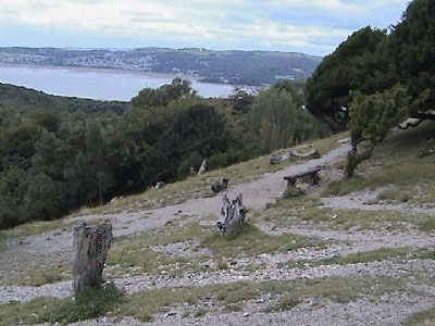 Turn right here! - The two tree stumps and the bench