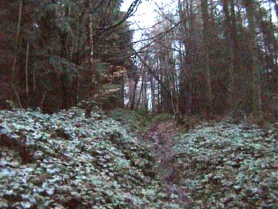 Steep path out onto the track