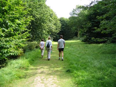 Path through Ray Wood