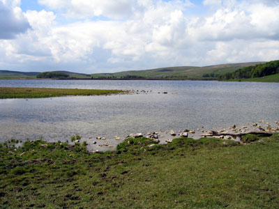 Malham Tarn