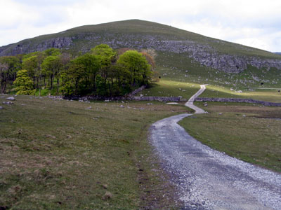 Track heading towards Great Close Plantation