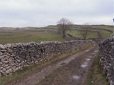 The lane diversion around the farm at Town End