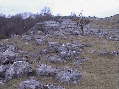 Limestone pavement approaching Bastow Wood