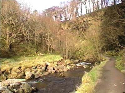 Woody gorge on way to falls