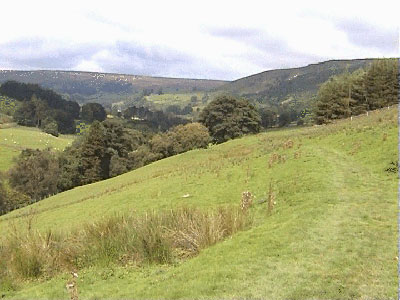 View along the grassy Thorpe Lane