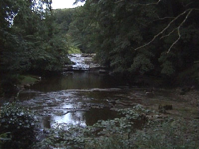 View from the bridge