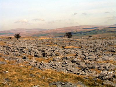 View across the limestone pavement