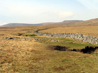 Path around the wall, Ingleborough on the horizon