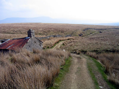 Path by the shooting hut