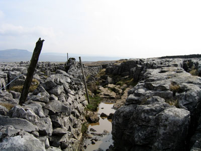 Path between wall and limestone pavement