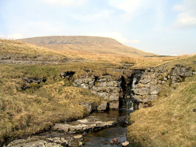 Small waterfall formed by the stream