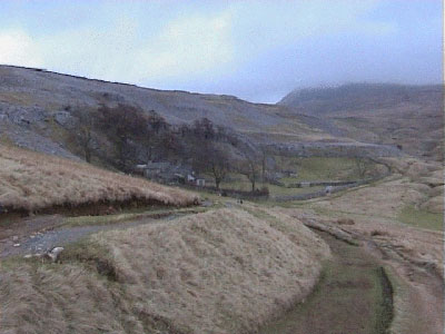 The path splits away from the track as it approaches Crina Bottom Farm