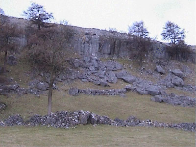 The limestone outcrop behind Crina Bottom Farm