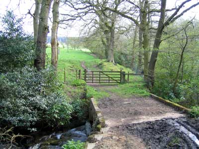 Looking back at the path approaching the bridge