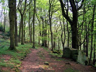 Heading away from 'The Hermitage' on the alternative longer end to the walk