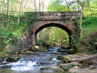 Bridge by Falling Foss