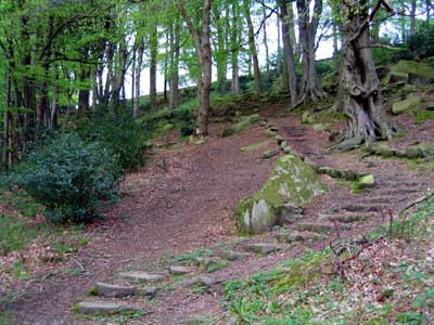 Looking back at the steps leading away from 'The Hermitage'