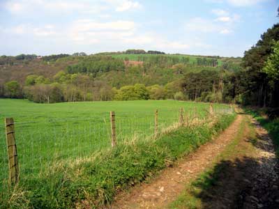 Looking back down the lane towards Falling Foss