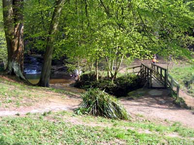 The wooden footbridge