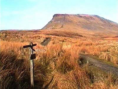 Signpost by Churn Milk Hole