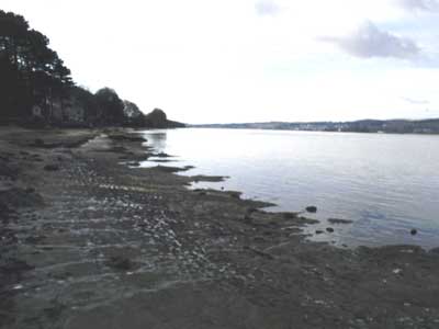 Further along the estuary