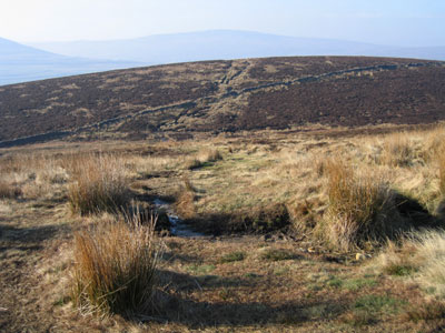 Path down to and away from the wall