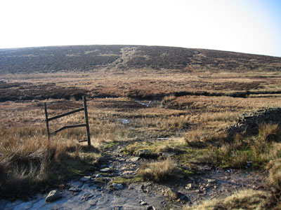 Path leads away from the bog