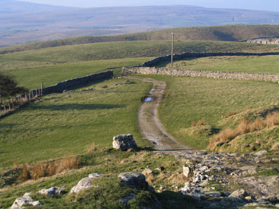 Path down to and through the gate, High Birkwith Cave in the trees on the left