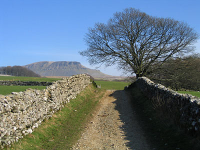 Pen-y-ghent from Horton Scar Lane