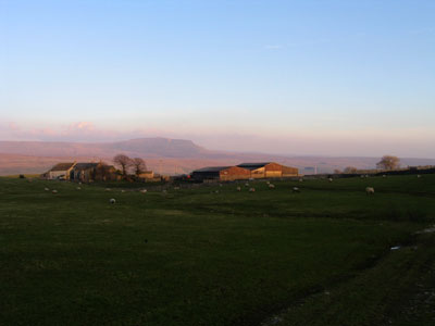 Looking across to the farm and Pen-y-ghent at dusk