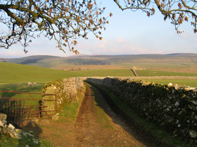 Looking back along the walled lane