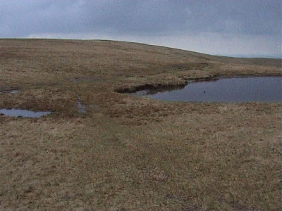 Junction of the paths by the water