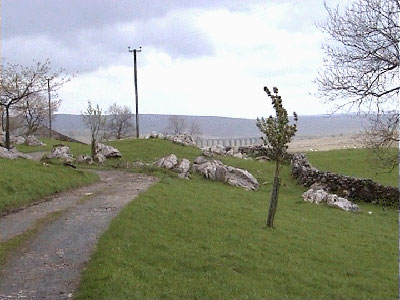 Looking back along the lane