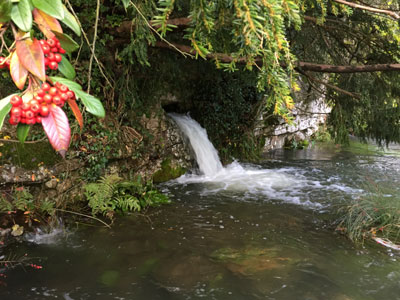 Looking back upstream