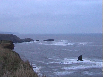 Looking along the coastline